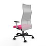 Piqueras y Crespo Chaise de Bureau Albacete Rose et Blanc