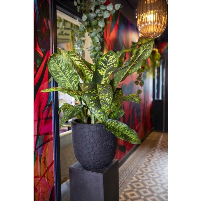 CAPI EUROPE - Pot boule Clay NL - 35 x 34 cm - En terre cuite - Noir