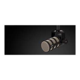 RØDE Microphone PodMic XLR Noir (400400055) - Micro à condensateur studio
