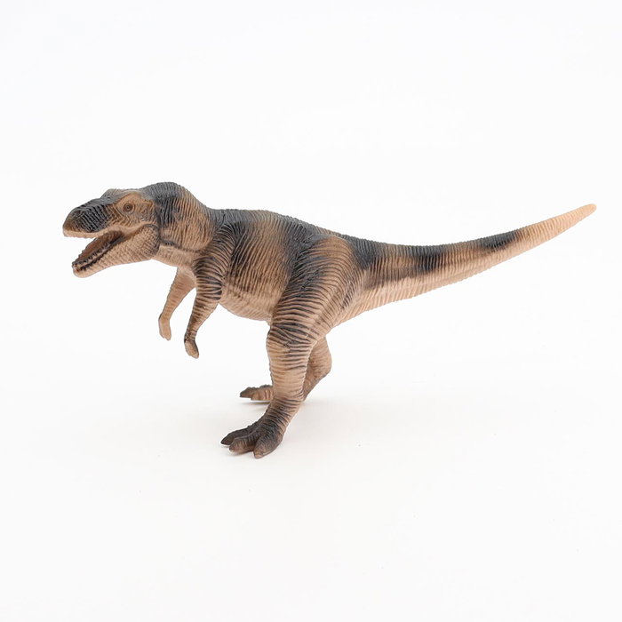 Tachan Blister Dinosaurios 6 Pièces - Figurines Dinosaures en Plastique - Jeu Éducatif pour Enfants 3+ Ans