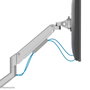 Neomounts DS70-250SL1 Support de bureau à mouvement complet pour écrans 17" à 35" (9 kg, VESA 100x100, réglage gaz, argent)