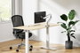 Neomounts DS70-250SL1 Support de bureau à mouvement complet pour écrans 17" à 35" (9 kg, VESA 100x100, réglage gaz, argent)