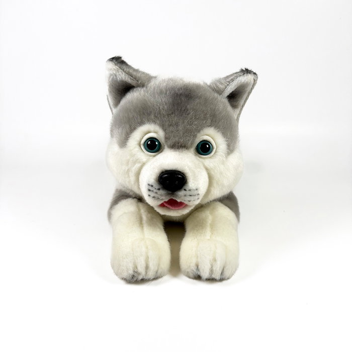 DEQUBE Peluche Husky Tumbado 25cm Bocalan Licencia Oficial DEQUBE Peluche Husky Tumbado 25cm Bocalan Licencia Oficial