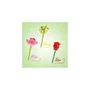 Canal Toys BLM 002 Stylo Fleur à Construire - Pack de 3 - Rose, Lotus et Marguerite avec Encre Pailletée et Parfumée