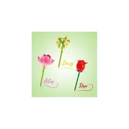 Canal Toys BLM 002 Stylo Fleur à Construire - Pack de 3 - Rose, Lotus, Marguerite avec Encre Pailletée et Parfumée - Loisir Créatif Enfant dès 6 ans