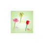 Canal Toys BLM 002 Stylo Fleur à Construire - Pack de 3 - Rose, Lotus, Marguerite avec Encre Pailletée et Parfumée - Loisir Créatif Enfant dès 6 ans