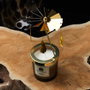 Home Deco Factory Bougie Parfumée Carrusel Wood and Ginger Spa