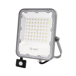 GSC Evolution Projecteur LED 30W avec capteur de mouvement, 6500K, Gris