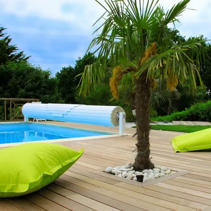 Fartools Pack Grand Rénovateur sur Pied pour Sol - Décapage, Dégrisage, Ponçage - Avec 2 Brosses Fil Laitonné et 2 Brosses Lamelles Abrasives