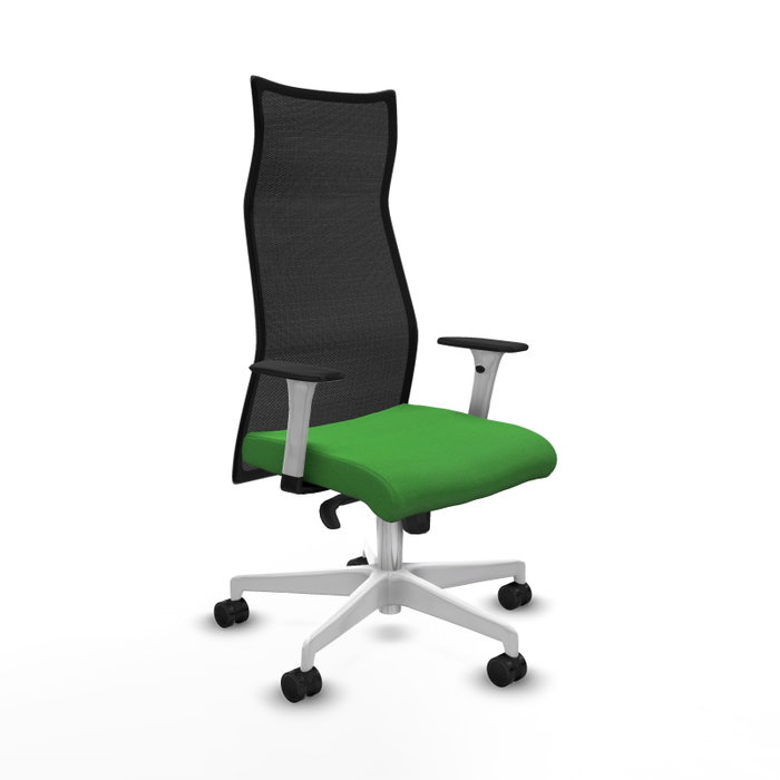 Piqueras y Crespo Chaise de Bureau Albacete Vert et Noir Piqueras y Crespo Chaise de Bureau Albacete Vert et Noir