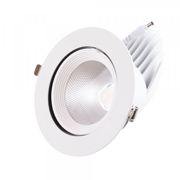 Spot Downlight LED 30W 5000Lm 2700K Rectangulaire Orientable
