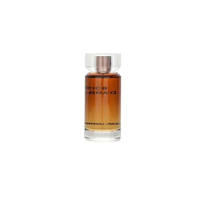 Karl Lagerfeld Bois d'Ambre Eau de Toilette pour Homme 100 ml Karl Lagerfeld Bois d'Ambre Eau de Toilette pour Homme 100 ml
