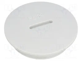 LAPP SKINDICHT® Chape PG29 Gris Clair
