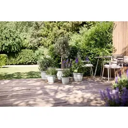 ELHO Pot de fleurs extérieur Amiga Rond 30 Blanc, Ø 29.5 x H 22 cm, plastique 100% recyclé résistant au gel