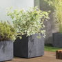 Deroma Pot de fleurs Cube Millennium R Anthracite avec réserve d'eau et roulettes