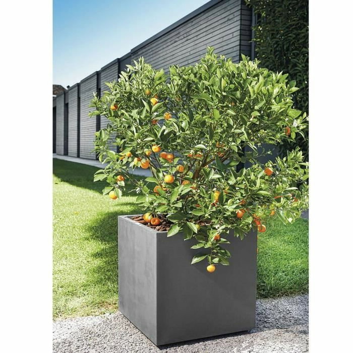 Deroma Pot de fleurs Cube Millennium R Anthracite avec réserve d'eau et roulettes