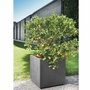 Deroma Pot de fleurs Cube Millennium R Anthracite avec réserve d'eau et roulettes