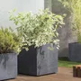 Deroma Pot de fleurs Cube Millennium R Anthracite avec réserve d'eau et roulettes - 49 x 49,5 cm - 80 L - Résistant au gel et aux UV - Matière recyclée