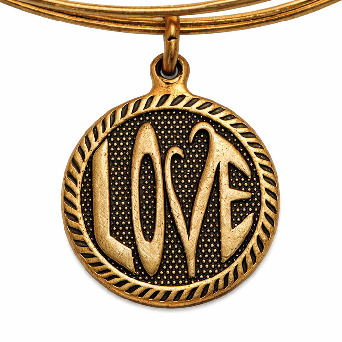 Alex And Ani Bracelet LOVE II Doré