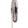 KIMERA LIGHTING Ruban LED SMD5050 Blanc Froid 24VDC 14,4W/m 5M x 5M IP20