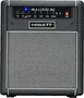 HIWATT Ampli Basse Combo Bulldog 30W avec Bluetooth 1x10" - Noir