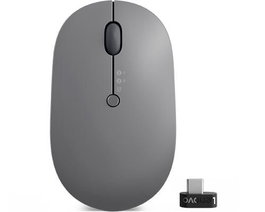 Lenovo Go - Souris Sans Fil Multi-Appareils USB-C, 2400 dpi, Bluetooth 5.0/2.4 GHz, Charge Rapide Qi