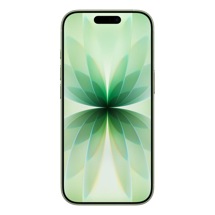 Smartphone Apple iPhone 17 6,3" Hexa Core 8 GB RAM 512 GB Vert