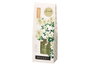 Acorde Mikado Jazmin 30 ml, Diffuseur à Baguettes, 7.5 x 20 x 5 cm (Set de 24)