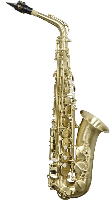 SML Saxofón Alto A420-Ii Mate Cepillado avec Kit BG SML Saxofón Alto A420-Ii Mate Cepillado avec Kit BG