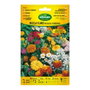 Agreen Mélange de fleurs rocailles et bordures