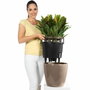 Lechuza Pot de fleurs Classico premium LS 50 Blanc brillant