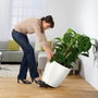 Lechuza Pot de fleurs Classico premium LS 50 Blanc brillant