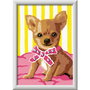 Ravensburger CreArt Kit de Peinture par Numéros Chihuahua 12023255 - Puzzle à Colorier pour Enfants dès 7 Ans