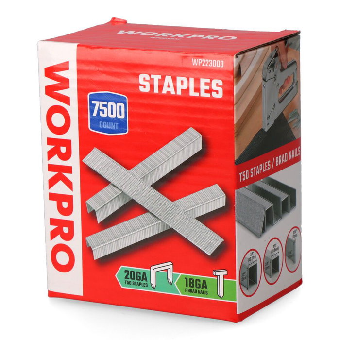 Workpro Lot de 7500 Agrafes et Clous : 2500 Agrafes T50 10 mm + 2500 T50 12 mm + 2500 Clous 18 ga 15 mm Workpro Lot de 7500 Agrafes et Clous : 2500 Agrafes T50 10 mm + 2500 T50 12 mm + 2500 Clous 18 ga 15 mm
