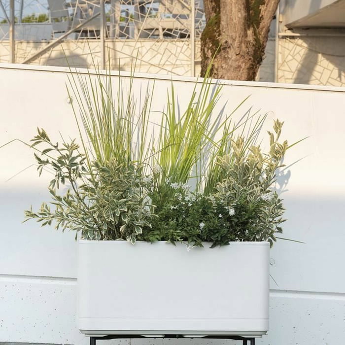 Deroma Jardinière Muret Cosmo Perle avec réserve d'eau et roulettes