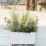Deroma Jardinière Muret Cosmo Perle avec réserve d'eau et roulettes