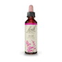 Bach Original Elm 20 ml