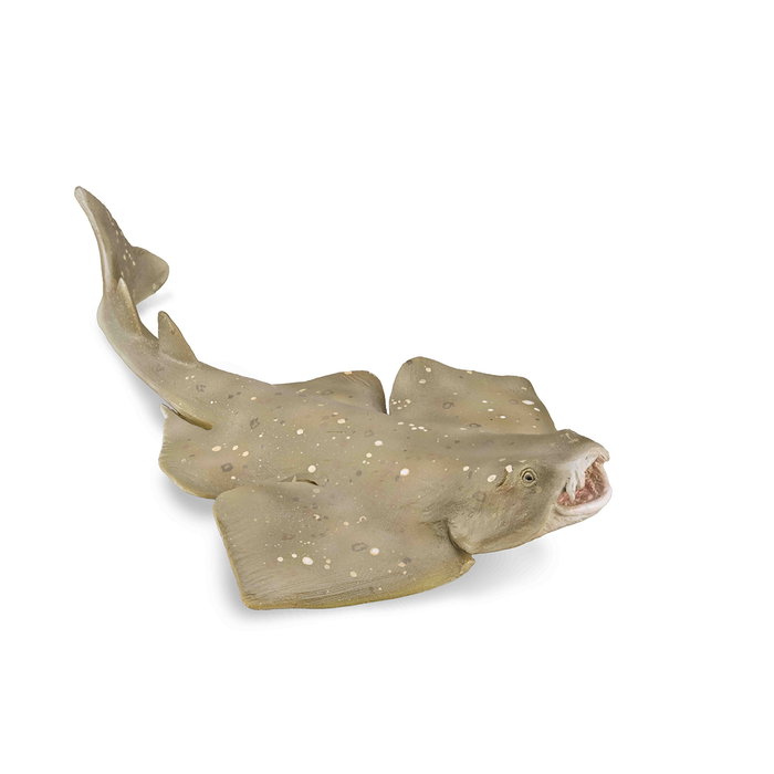 Collecta Tiburón Angel - M-88999 - Figurine de collection reproduisant un requin ange détaillé, peinte à la main, éducative, pour enfants à partir de 3 ans Collecta Tiburón Angel - M-88999 - Figurine de collection reproduisant un requin ange détaillé, peinte à la main, éducative, pour enfants à partir de 3 ans