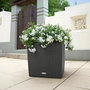 Lechuza Pot de fleurs Cube Cottage 50 - Granit