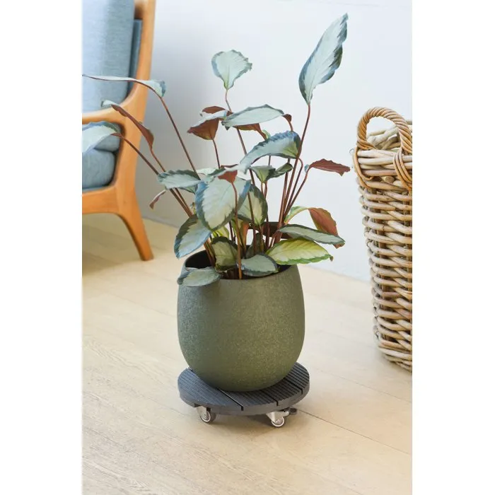 Nature Support de pot à roulettes WPC H7,5 x Ø30 cm - 4 roues multidirectionnelles avec frein - Anthracite - Usage intérieur et extérieur