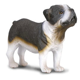 COLLECTA Bulldog - Échelle M