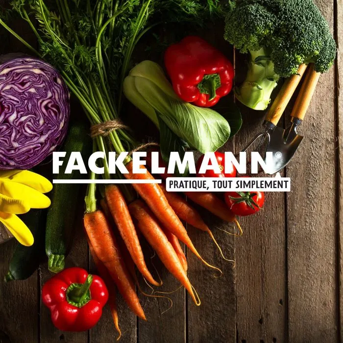 Fackelmann Lot de 2 boîtes de 250 rince-doigts au citron lingettes nettoyantes biodégradables