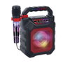 Reig Enceinte avec Microphone Karaoké Metal Pro