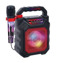 Reig Bafle + micro métal – Pro, haut-parleur avec microphone professionnel
