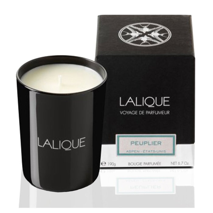 Lalique Bougie Parfumée Peuplier Aspen Etats-Unis, Cardamome Lalique Bougie Parfumée Peuplier Aspen Etats-Unis, Cardamome