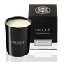 Lalique Bougie Parfumée Peuplier Aspen Etats-Unis, Cardamome
