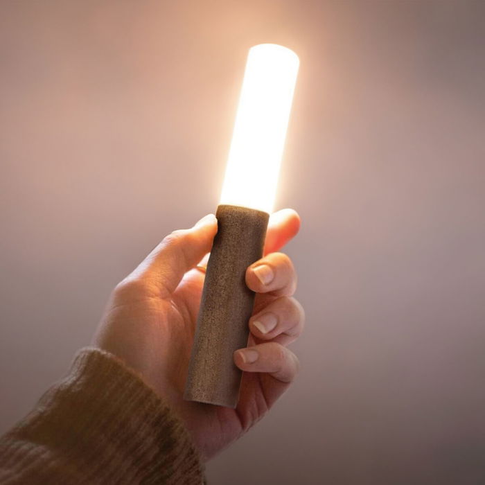 Lampe LED Magnétique Rechargeable 2-en-1 EDM 32157 Rechargeable