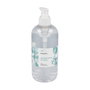 Terpenic Gel hydroalcoolique hygiénique à l'aloe vera 500 ml