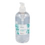 Terpenic Gel hydroalcoolique hygiénique à l'aloe vera 500 ml