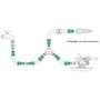 SATURNIA Connecteur tuyau plastique 3/4 blister
